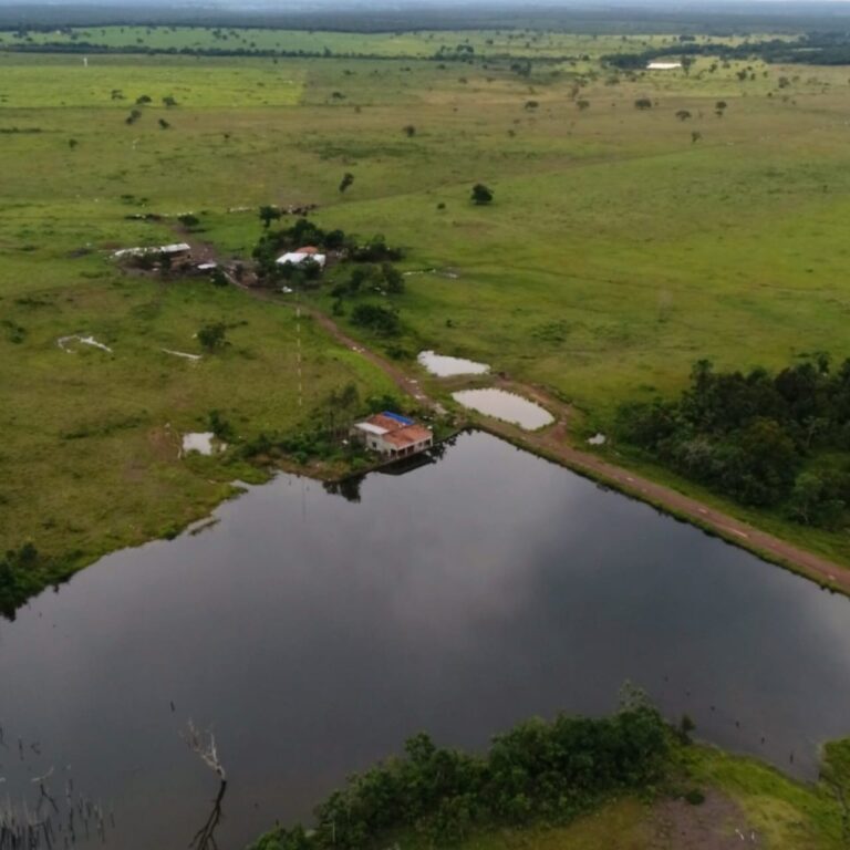 Fazenda extraordinária à venda no Vale do Araguaia Tocantins