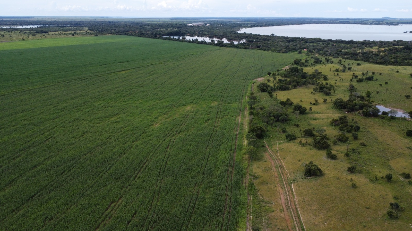 Excelente Fazenda Venda No Vale Do Araguaia Formoso Do Araguaia To