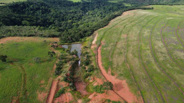 Excelente Fazenda à venda em Campina Verde-MG, toda preparada para Pecuária de Precisão (8)