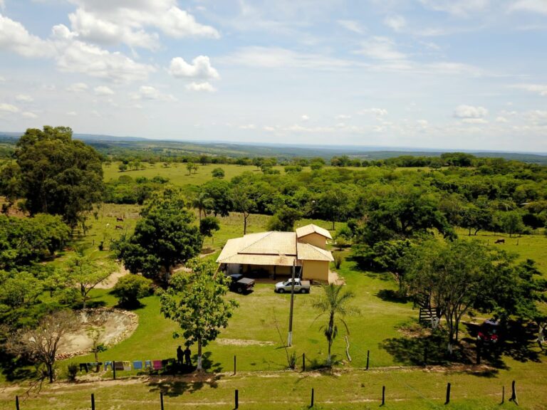 Fazenda a Venda em Caldas Novas-GO