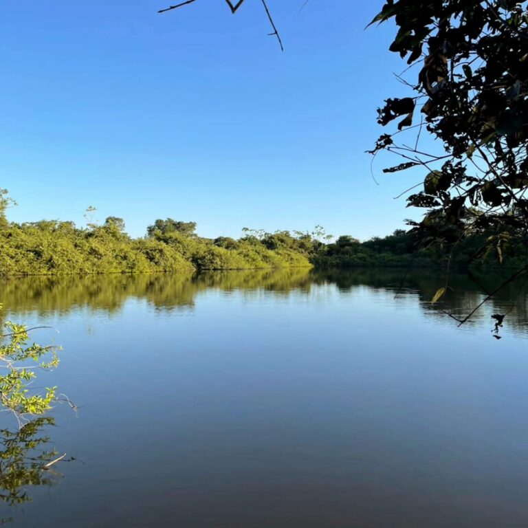 Fazenda à venda em Formoso do Araguaia no Vale do Araguaia-TO