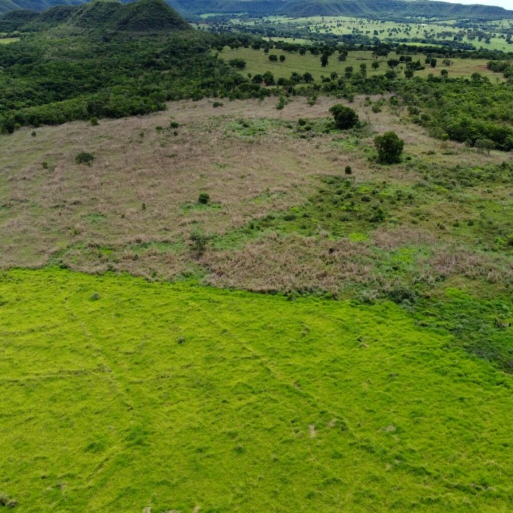 Fazenda à venda no Triângulo Mineiro com pastagem vedada