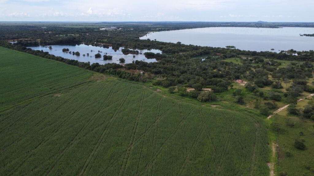 Excelente Fazenda à Venda no Vale do Araguaia, Formoso do Araguaia-TO