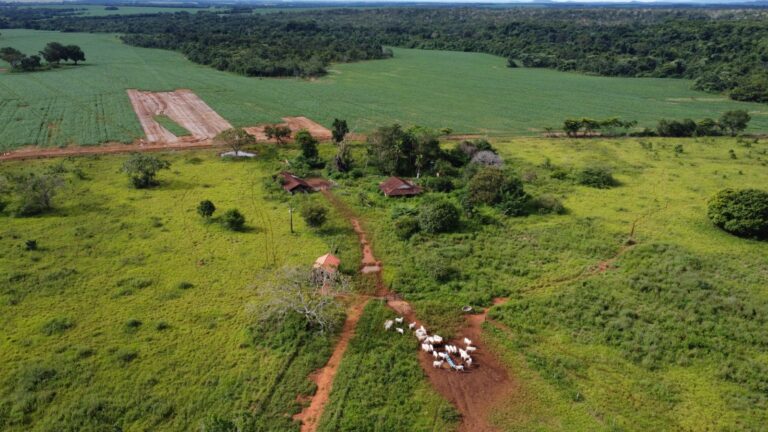 Fazenda à venda com 114 hectares na região central do estado do Tocantins