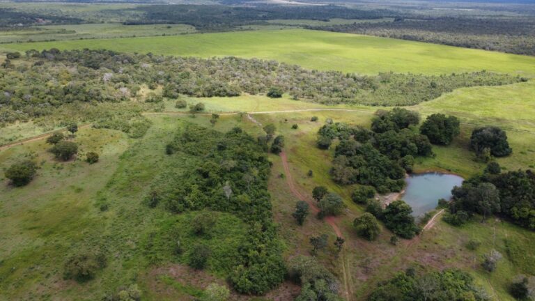 Fazenda de 282,82 hectares à venda no Tocantins, município de Fátima