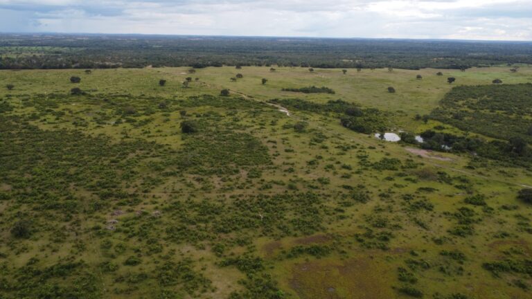 Fazenda à venda em Dois Irmãos-TO-Vale do Araguaia