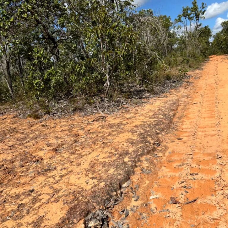 Fazenda de oportunidade à venda no Cerrado do MATOPIBA