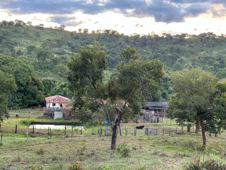 Fazenda magnífica à venda na região mais nobre do estado do Tocantins